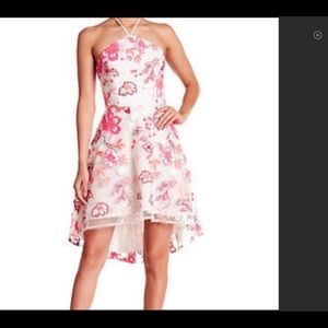 ✨Alexia Admor Stunning Hi-Lo Floral Embroidered Dress, Sz2, NWT.